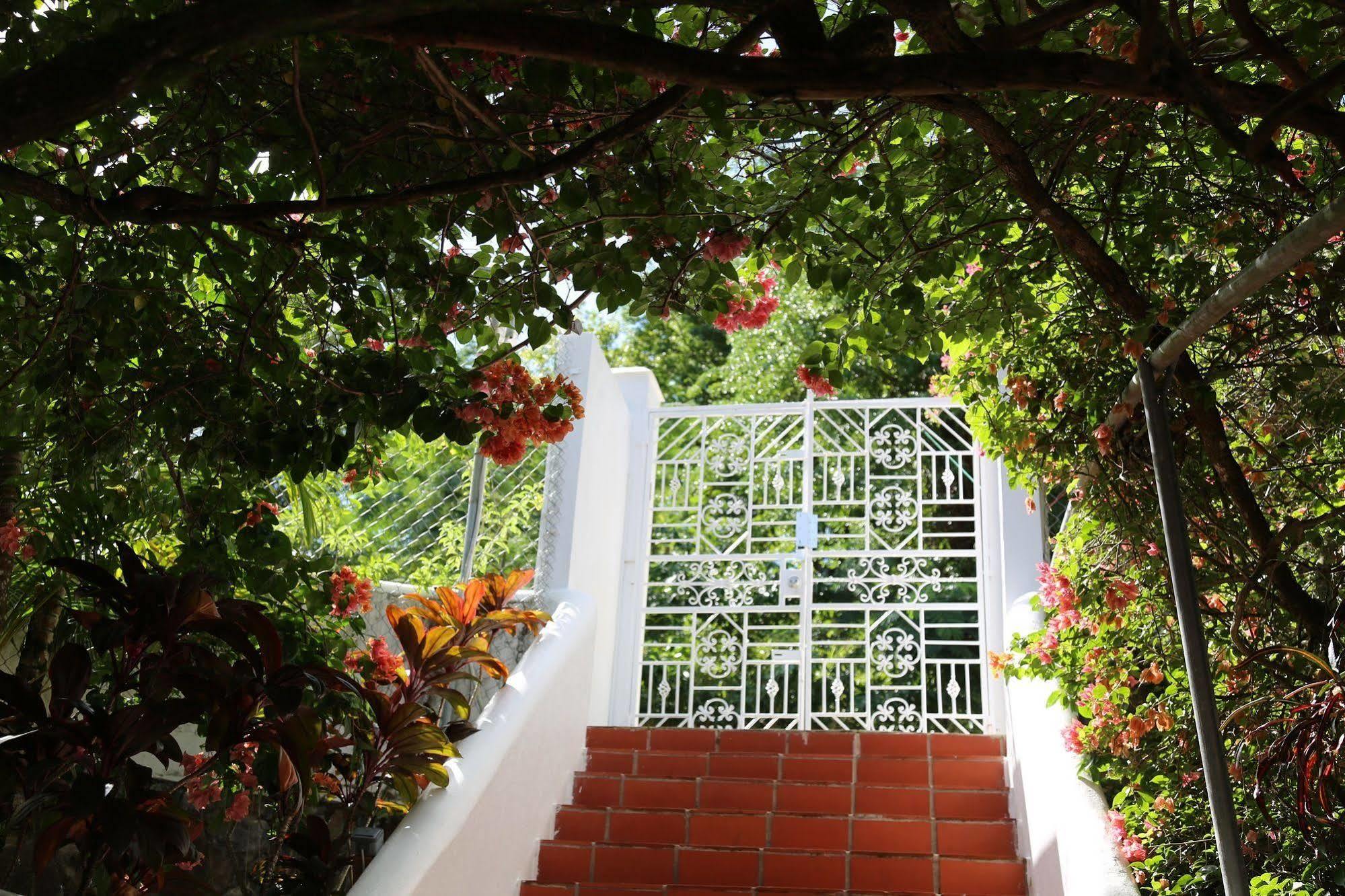 Marigot Palms Luxury Guesthouse Castries Exterior photo